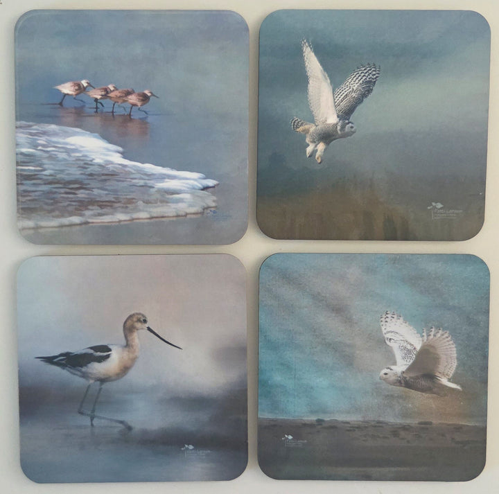 Coaster Collection - Birds of Presque Isle