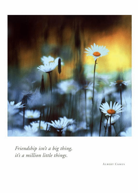 Birthday Card - Daisies on Isle Royale
