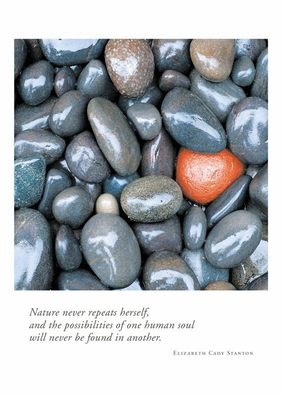 Birthday Card - Wet Rocks