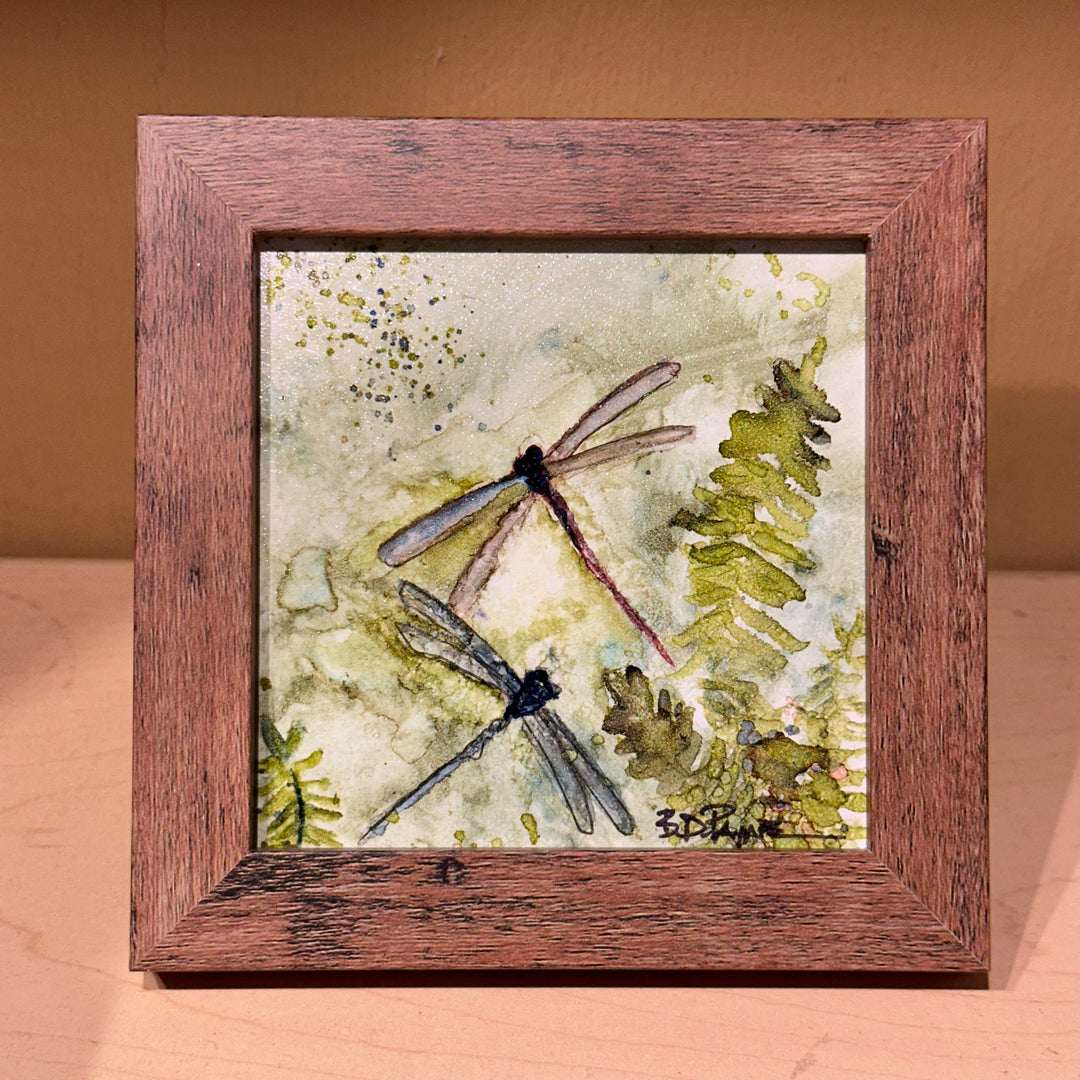 Dragonflies