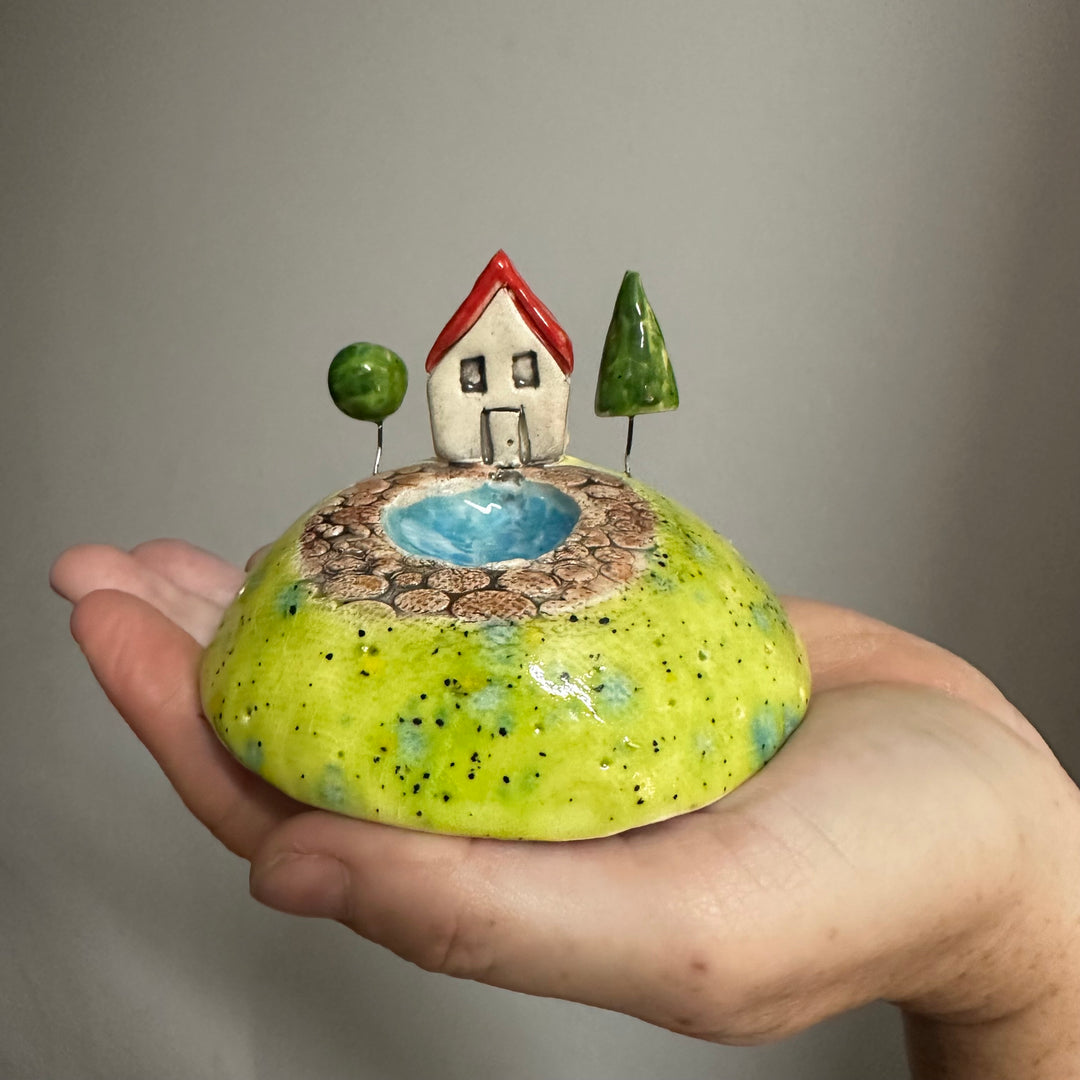 House with a Pond