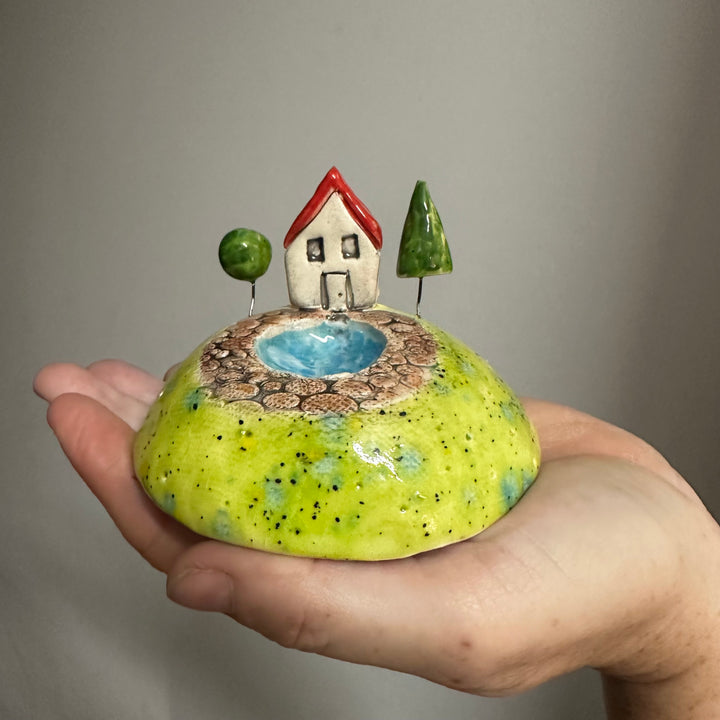 House with a Pond