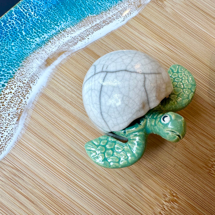 Sea Turtle Medium Hatchling