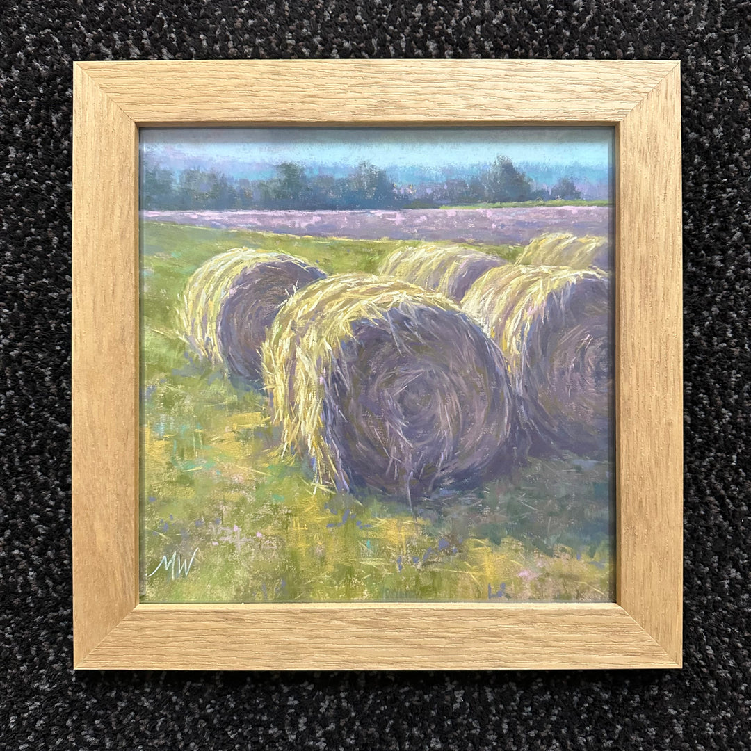 Bales Study 2