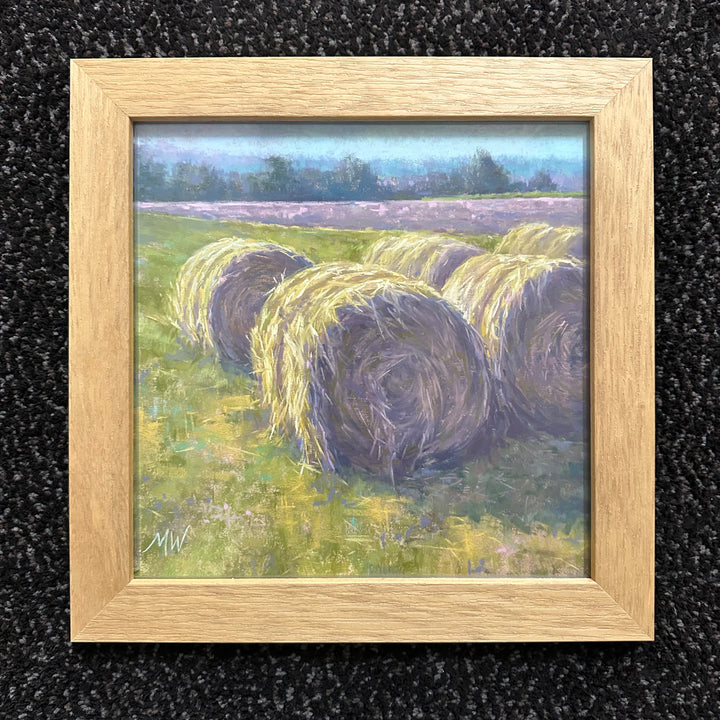 Bales Study 2