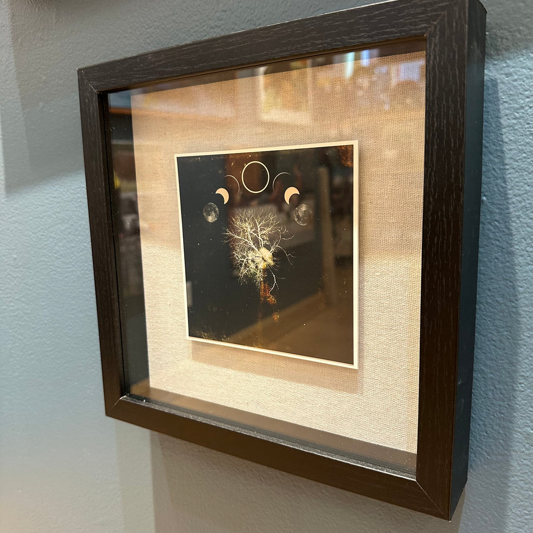 Limited Edition: Dusk (Shadow Box Frame Eclipse)
