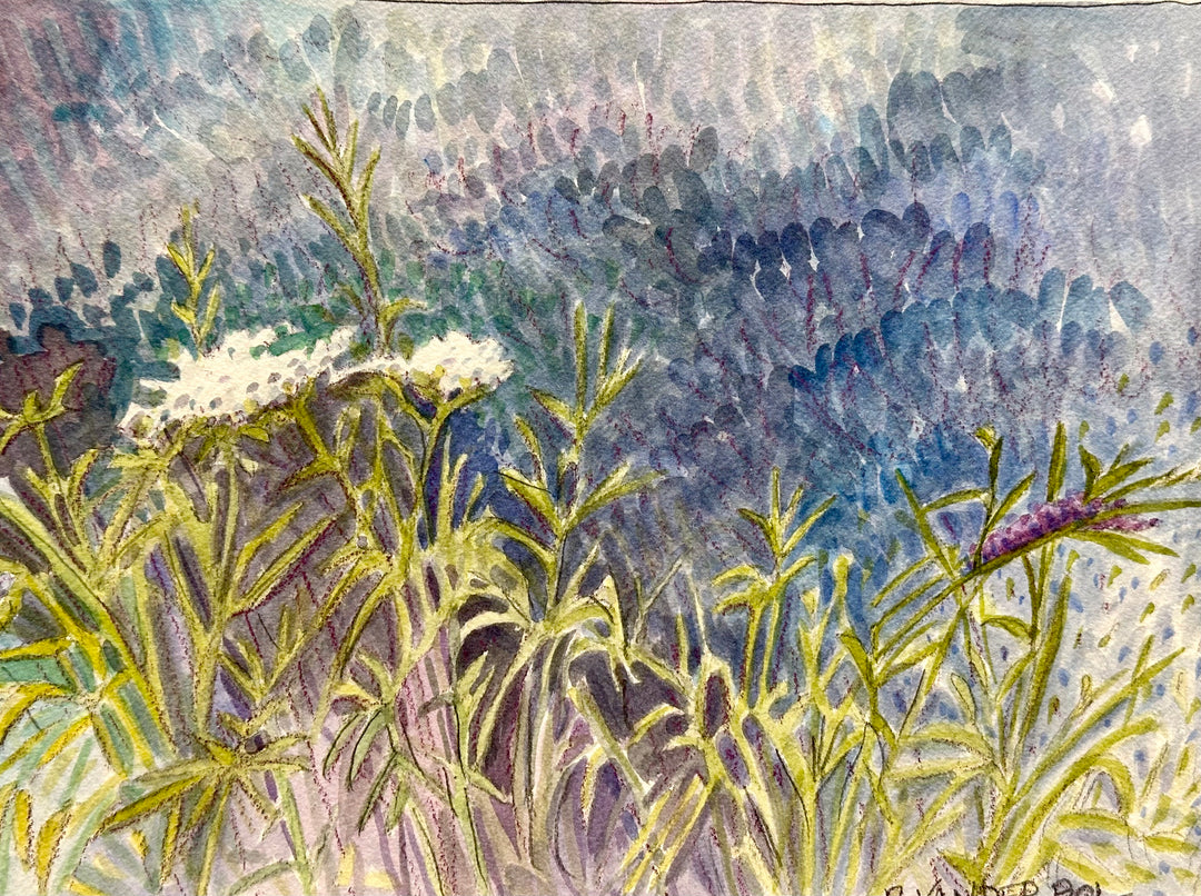 Late Summer Colors