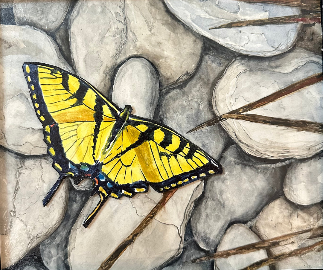 Butterfly Swallowtail