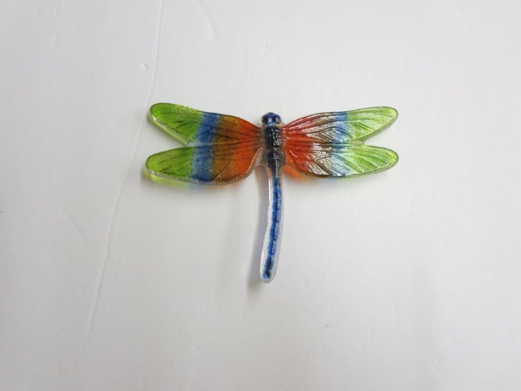 Dragonfly Multicolored