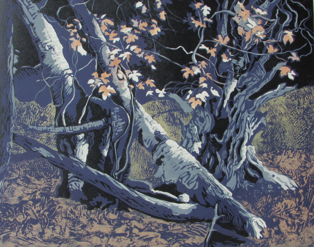 Dark Woods