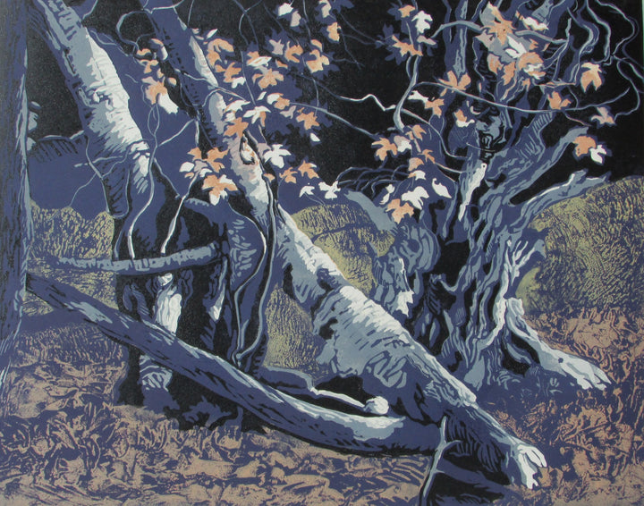 Dark Woods