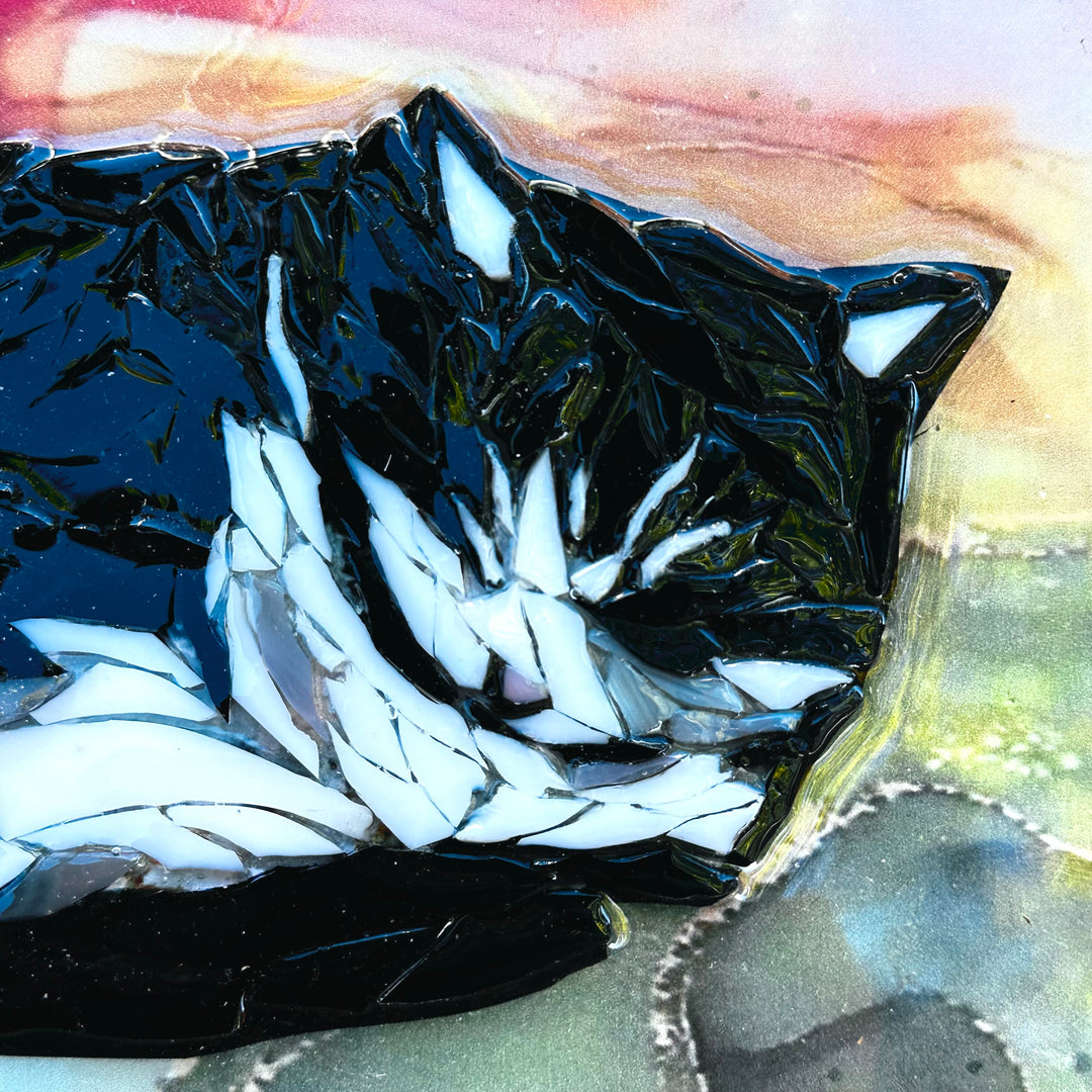 Tuxedo Cat Napping Mosaic