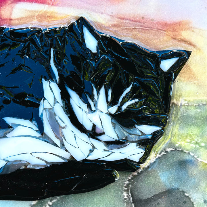 Tuxedo Cat Napping Mosaic