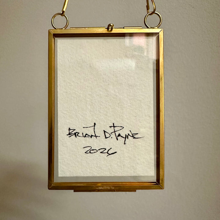 Mini Daisy Flowers