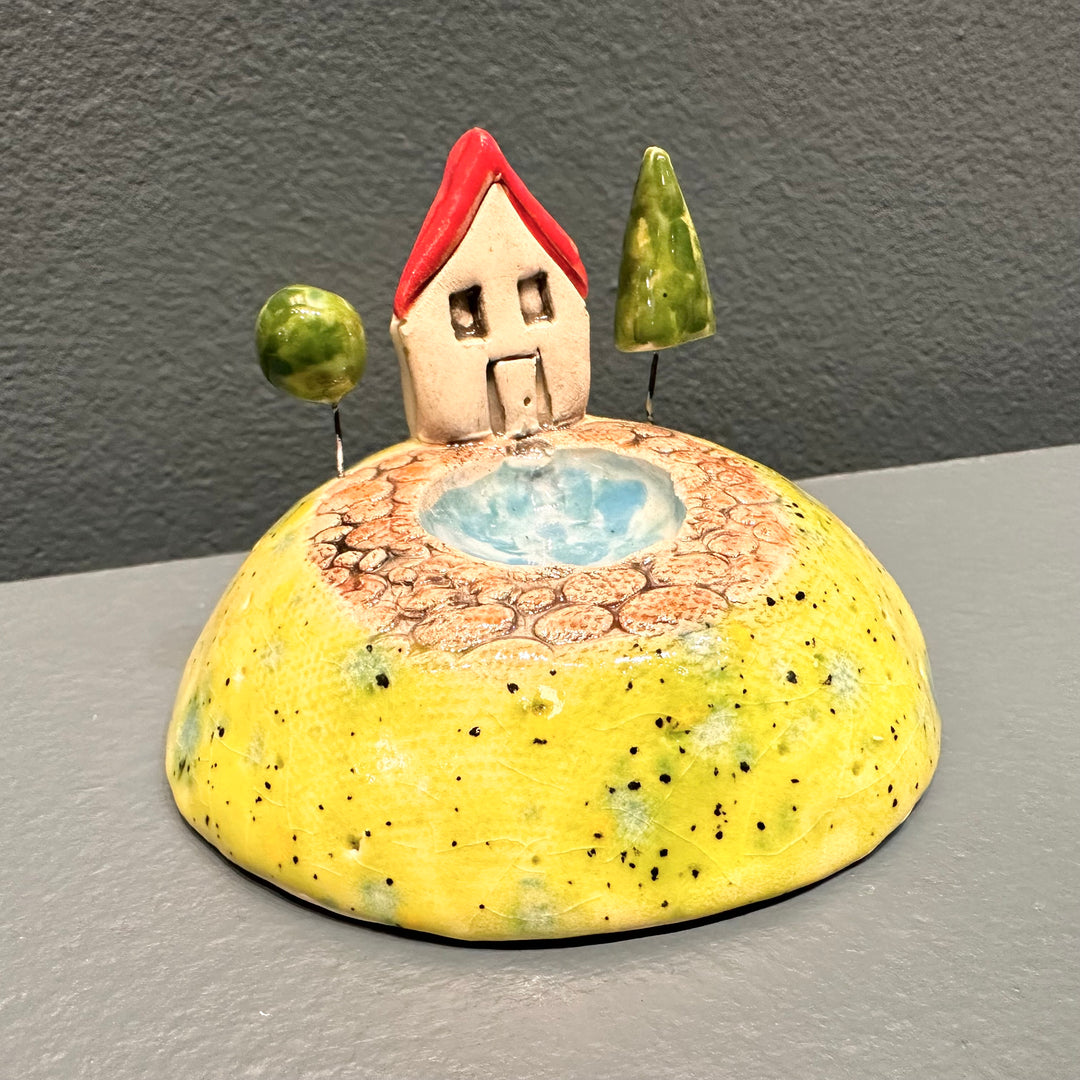 House with a Pond