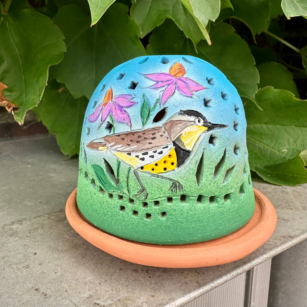 Luminary Warbler + Coneflower Blue Green