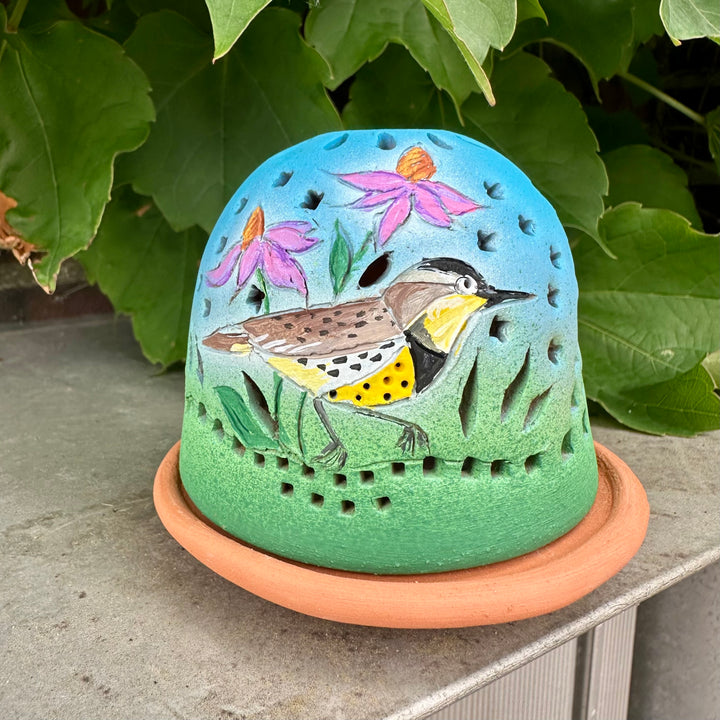Luminary Warbler + Coneflower Blue Green