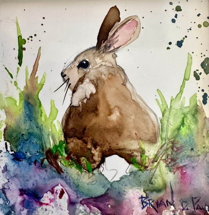 Bunny Rabbit in the Field