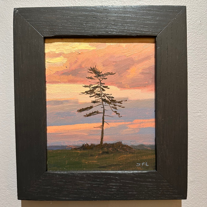 Pine