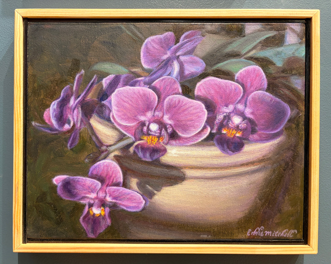 Ornamental Orchids