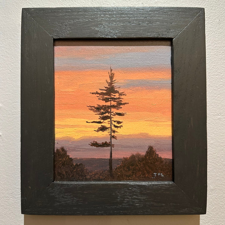 White Pine