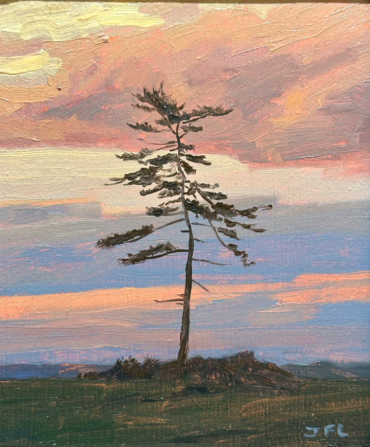 Pine