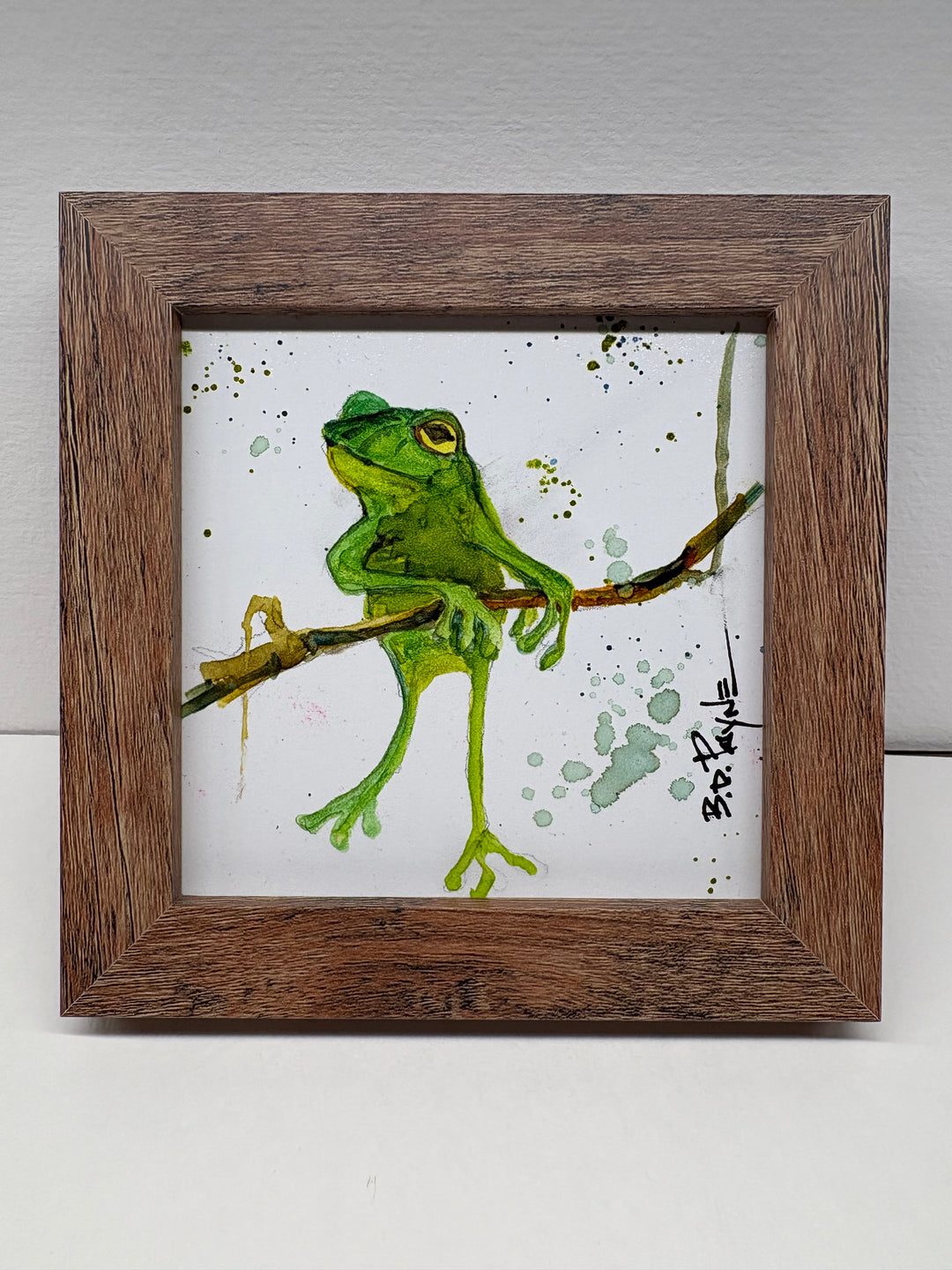 Hanging Out Frog