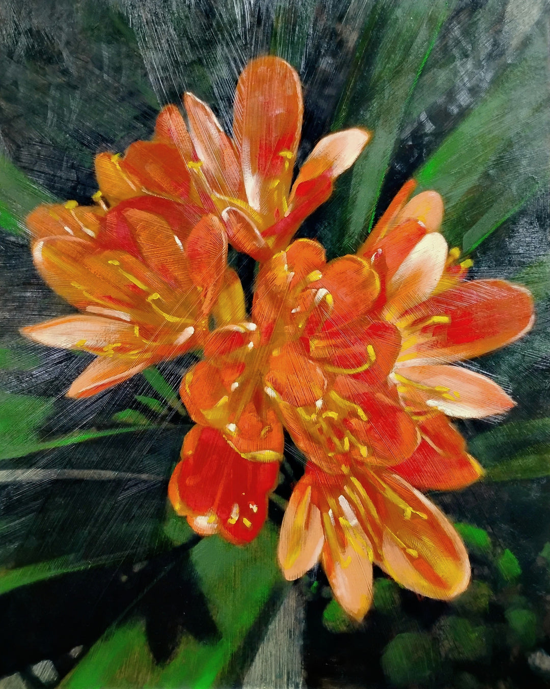 Fire Lily