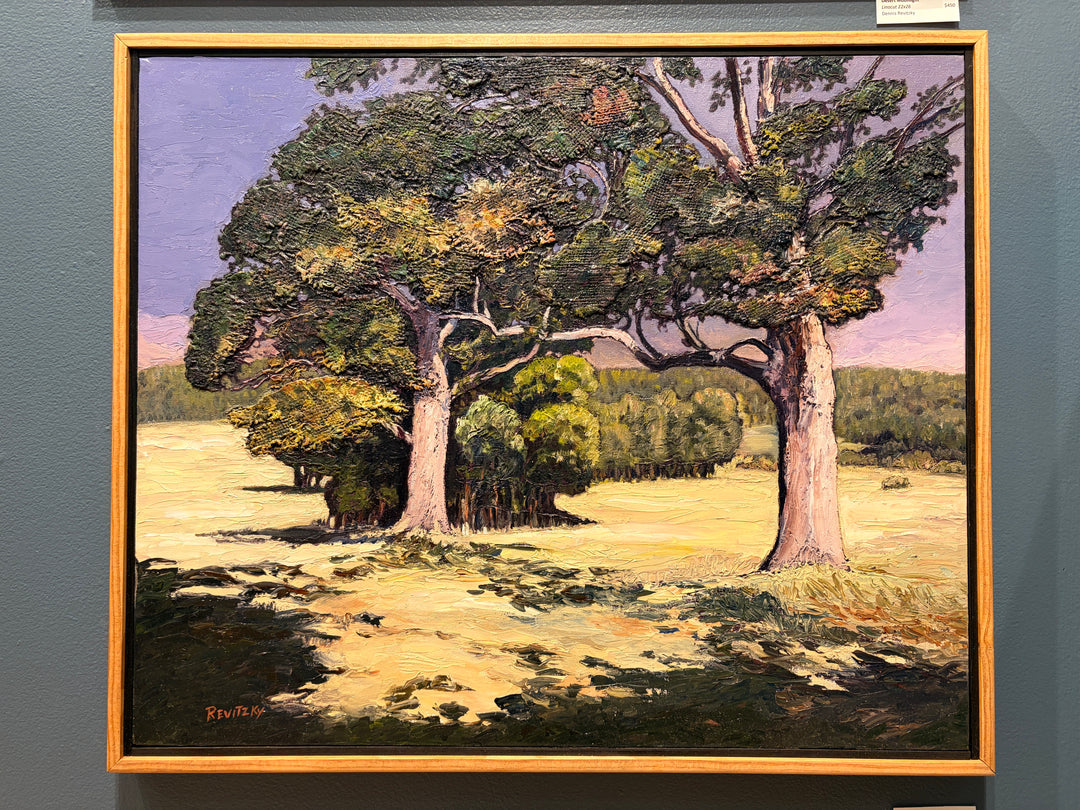 Trees At Early Dusk