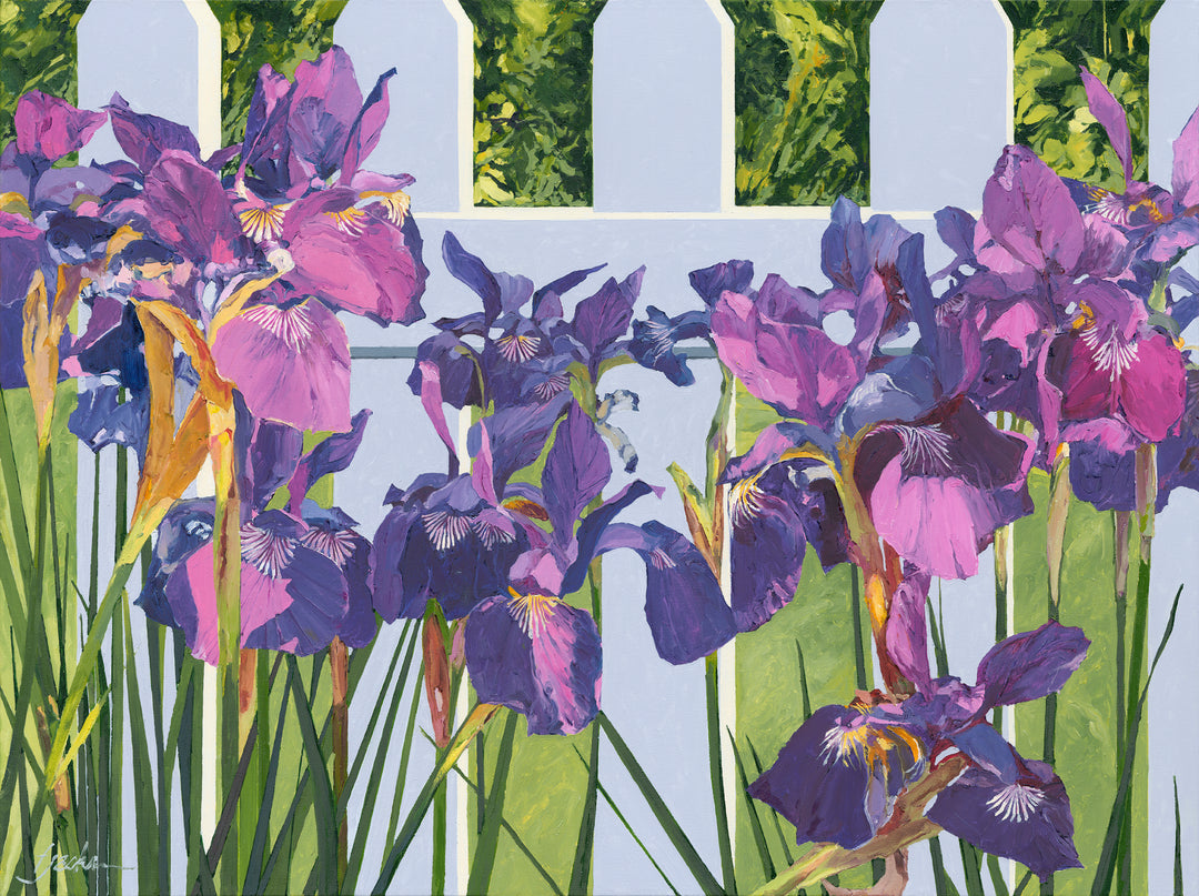 Iris Dance at the Fence