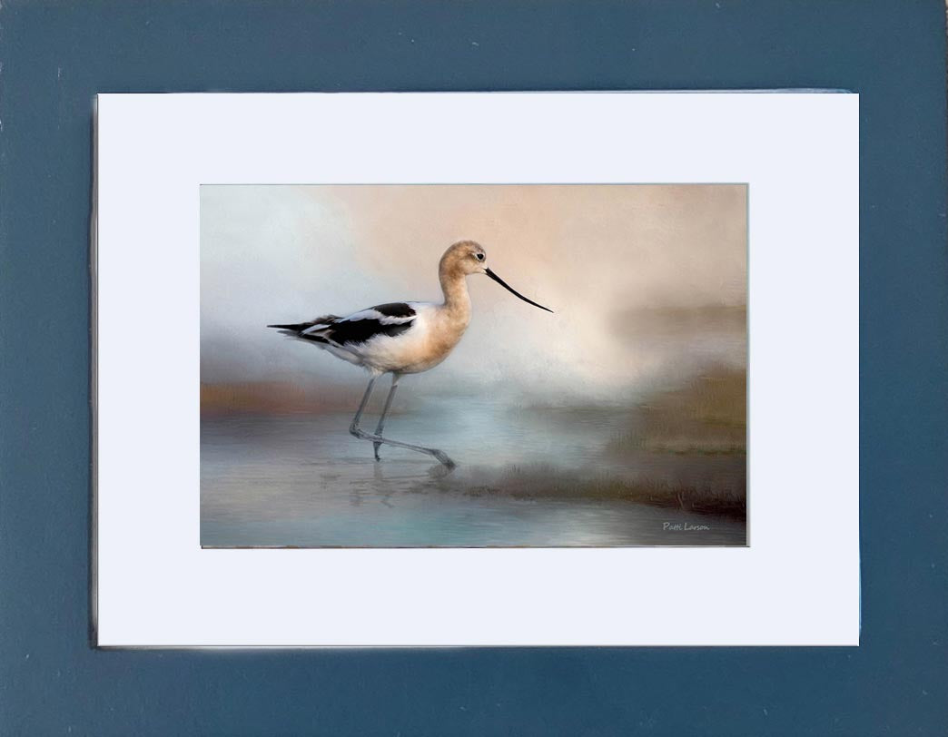 Elegant American Avocet Mini