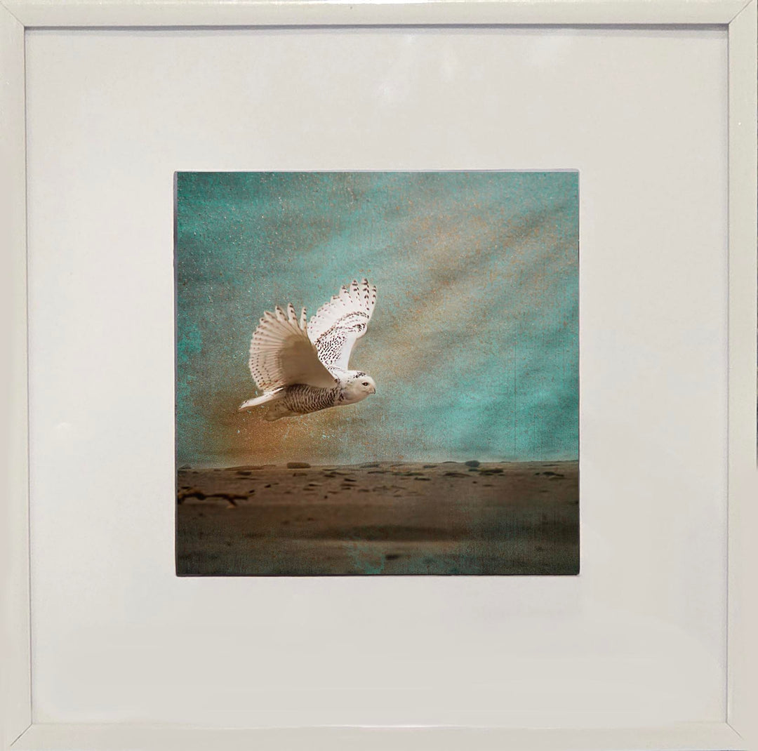 Magical Snowy Owl