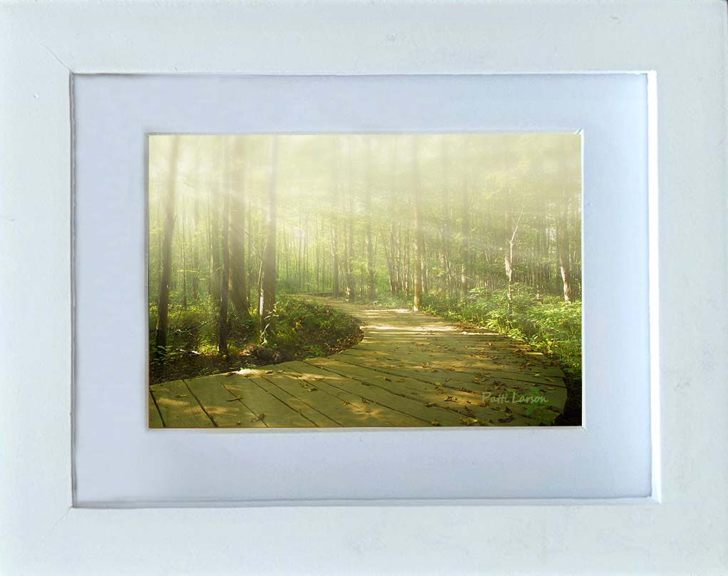 Early Rays in the Mist Mini