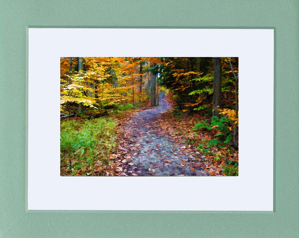Upward Trail Mini