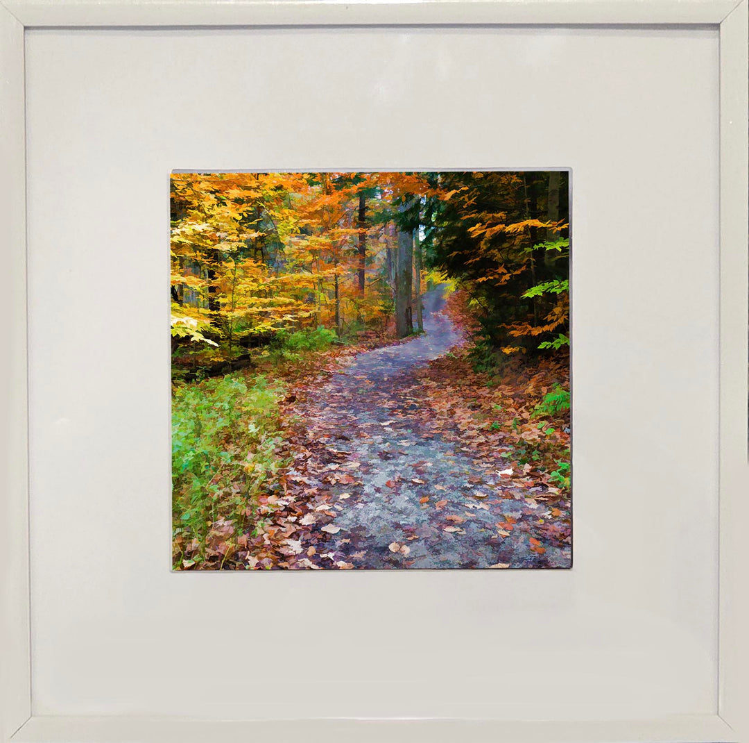 Upward Trail