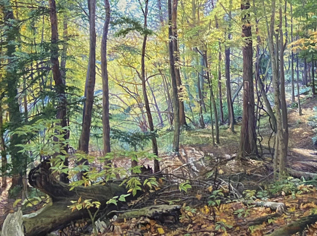 Off the Trail