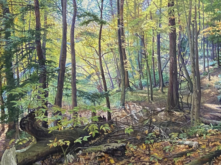 Off the Trail