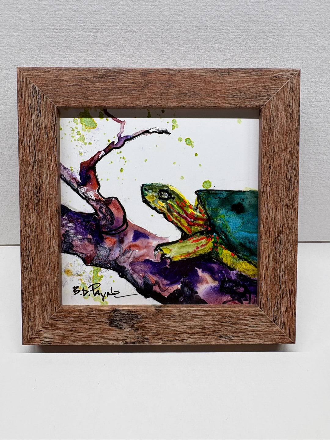 Painted Turtle