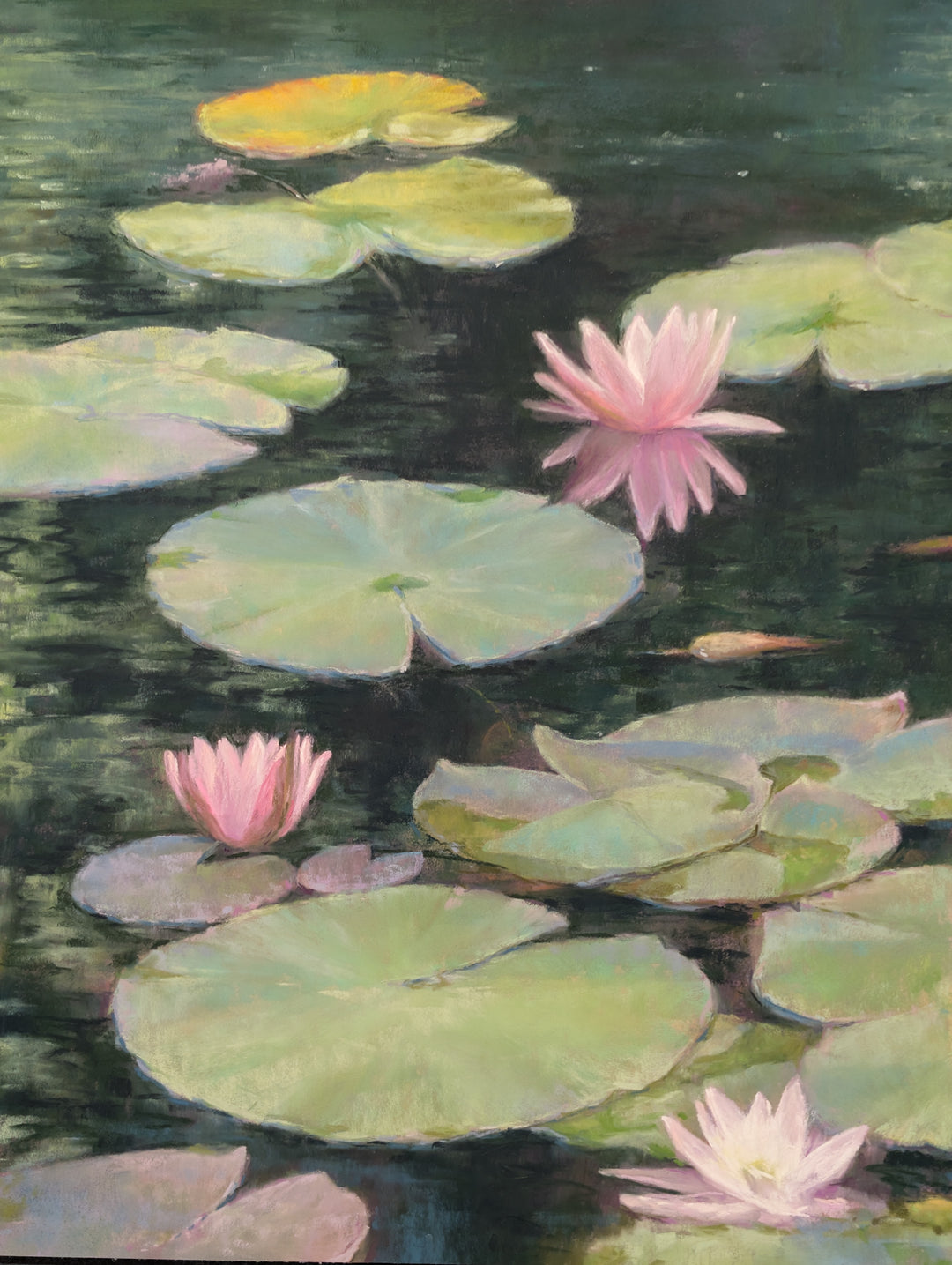 Pink on the Pond