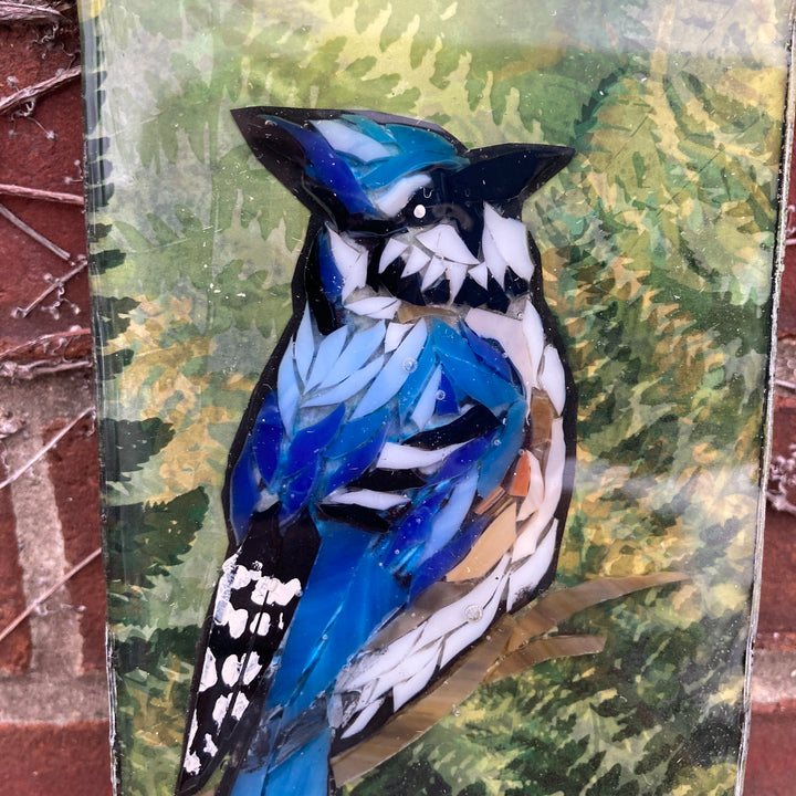 Blue Jay Mosaic