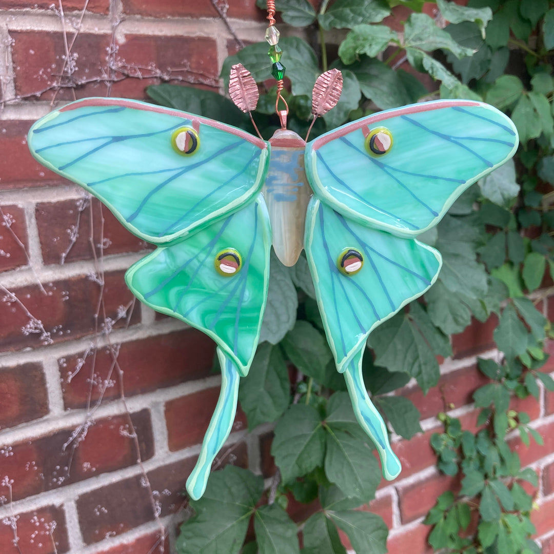 Luna Moth