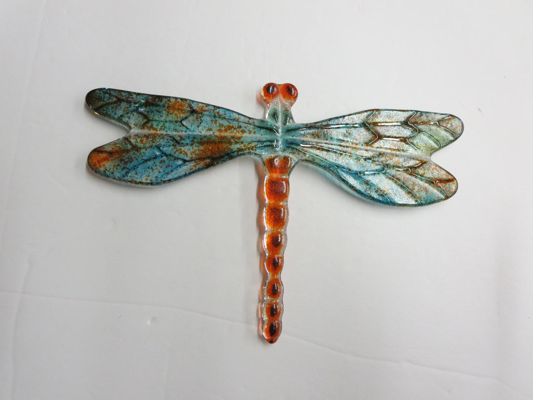 Bug Eyed Dragonfly