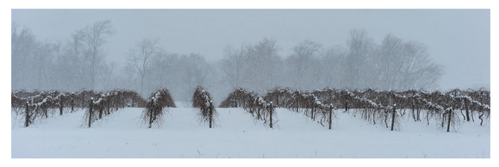 Ice Wine