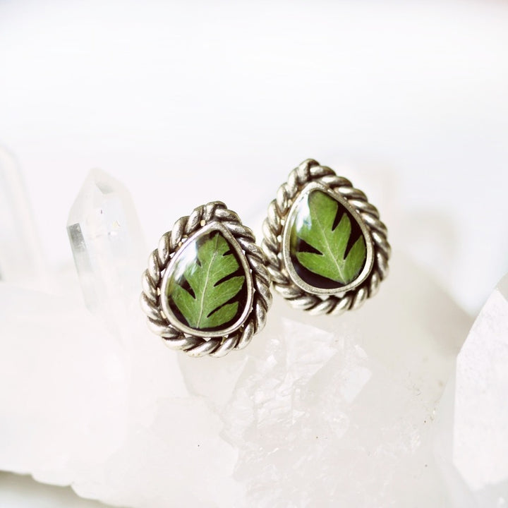 Small Pressed Fern Teardrop Earrings Black Enamel + Silver