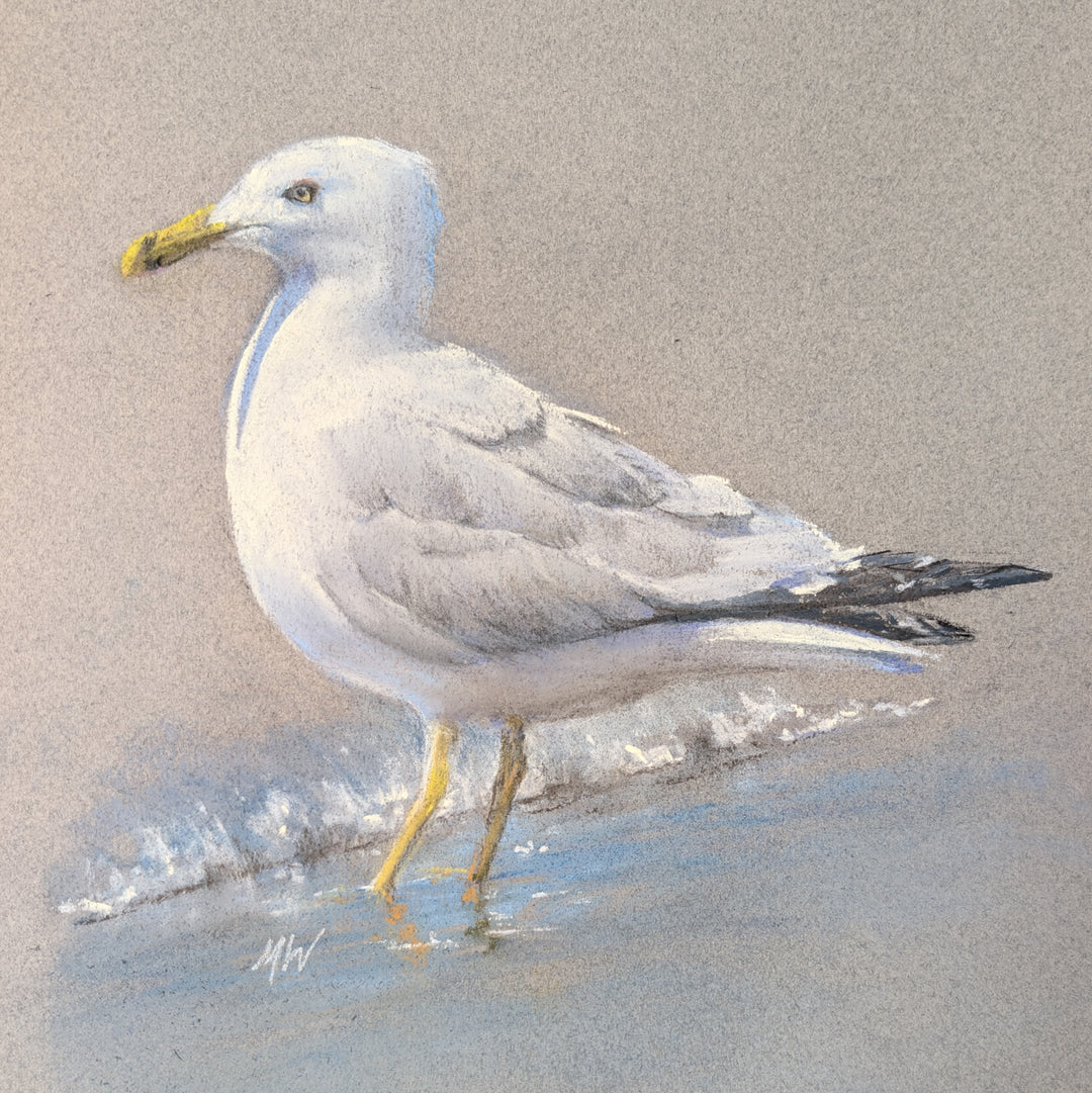 The Gull That Wanted My Chips