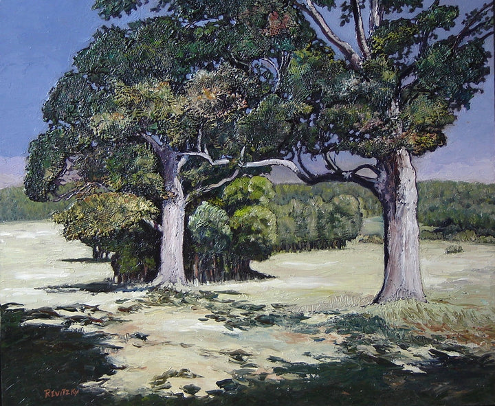 Trees At Early Dusk