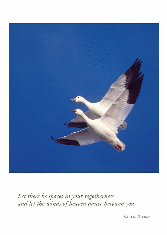 Wedding Card - Snow Geese Flying