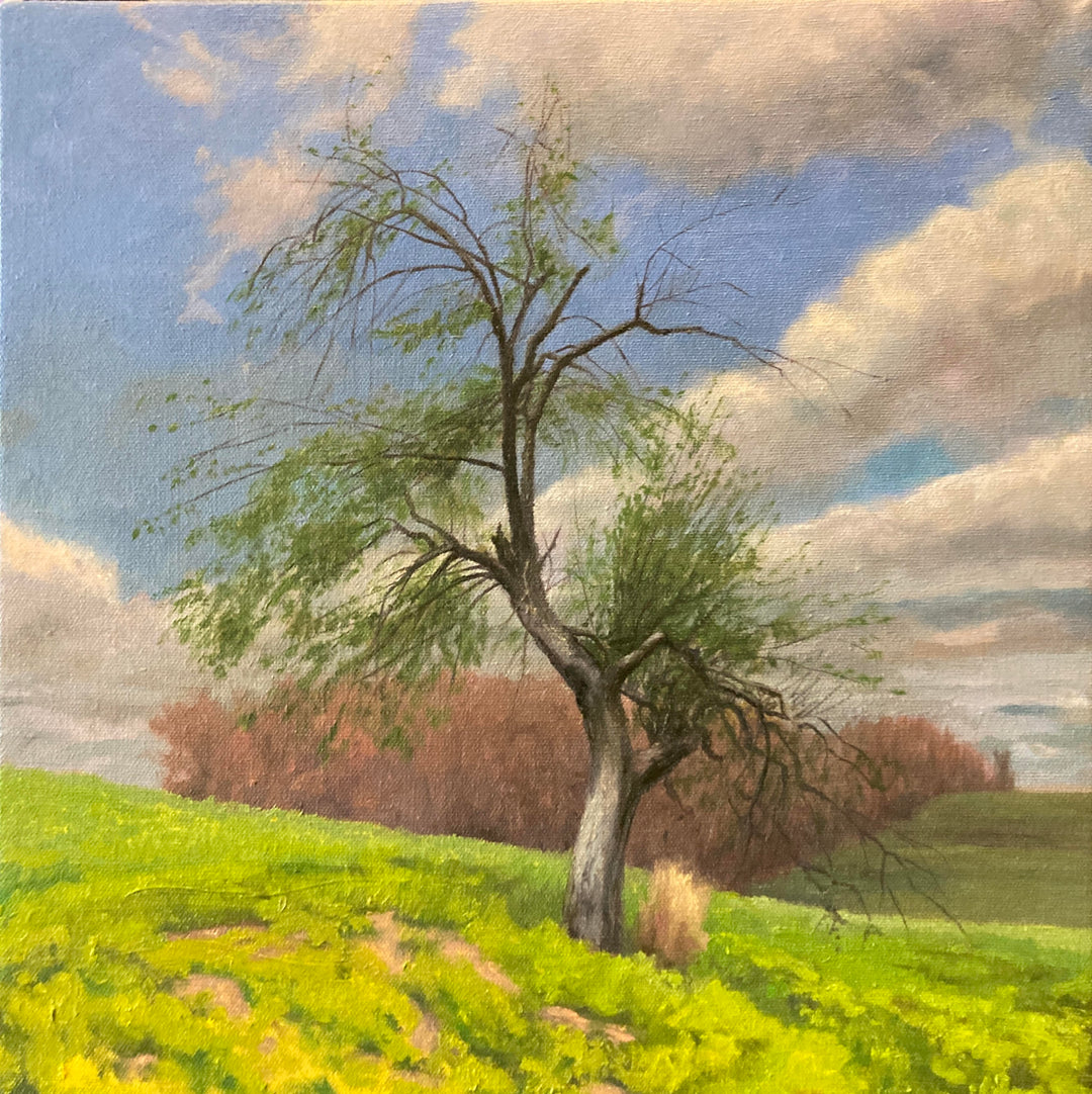 Edge of the Orchard
