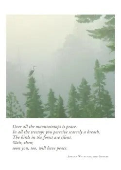 Sympathy Card - Heron Pine Fog