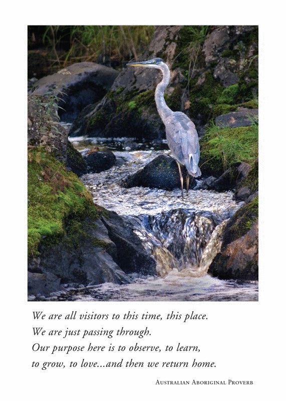 Sympathy Card - Heron on Judd Creek